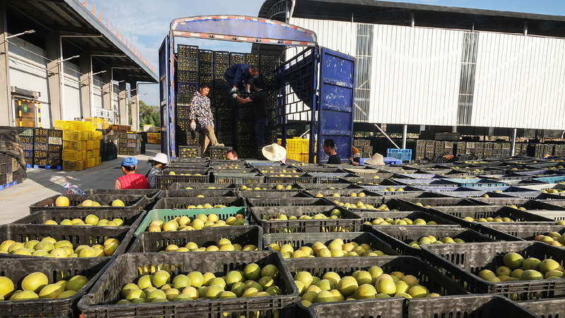 Beyond Scenery: Guilin's trade resilience