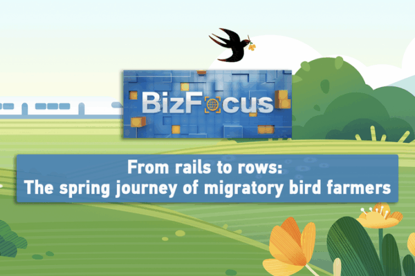 All Aboard the Rice Train: Farmers’ Spring Journey in China ๐พ๐ BizFocus Ep.127 From rails to rows: Migrant farmers' spring journey video poster