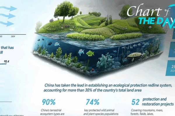 How China is Helping Nature Thrive 🌿 Chart of the Day: China to promote nature and sustainable development