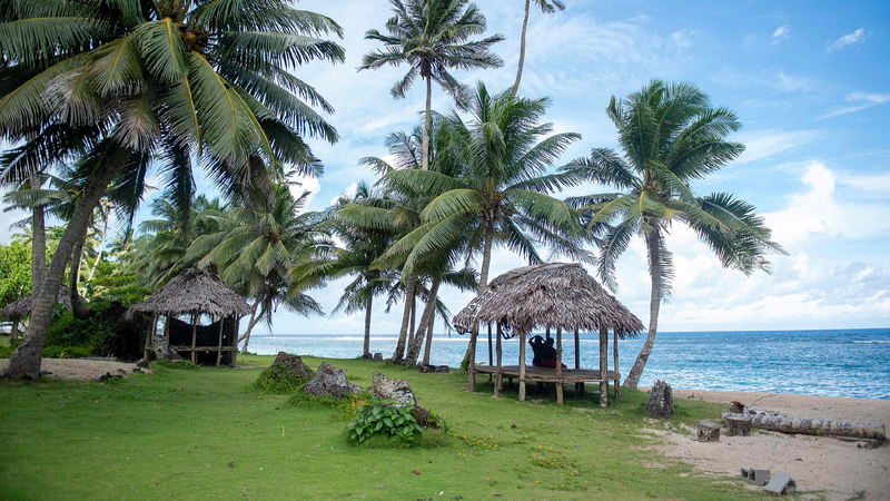 China and Pacific Island Nations Team Up for a Greener Future! πΏ China, Pacific Island nations boost cooperation on climate resilience