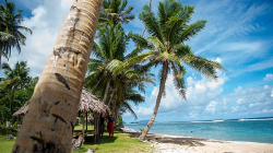 China and Pacific Islands: Together for a Healthier Ocean! ๐ China, Pacific Islands countries: Path to win-win marine cooperation