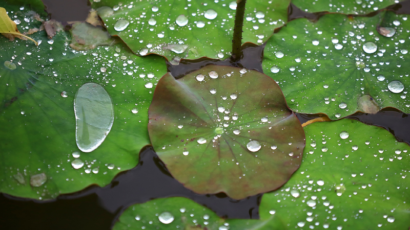 China’s Big Rain Alert: Stay Safe from Rainstorms and Floods! ☔ China issues alerts for rainstorms, mountain torrents