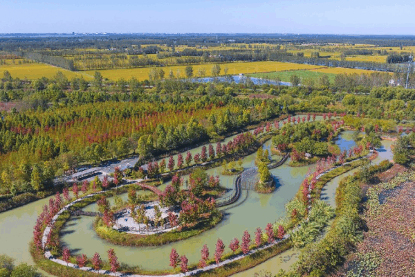 China Builds 903 Wetland Parks to Protect Nature πΏ China sets up 903 national wetland parks over past 2 decades