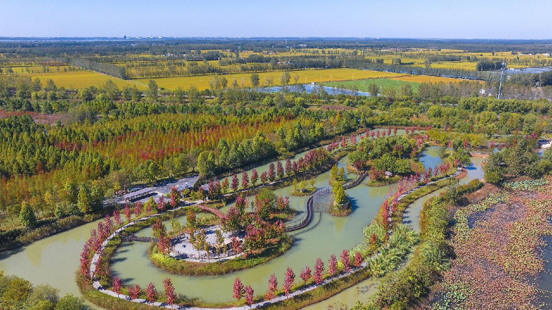 China sets up 903 national wetland parks over past 2 decades