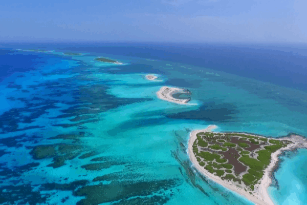 Why Are China and the Philippines Disagreeing Over Some Reefs? China slams Philippines' infringement on South China Sea reefs