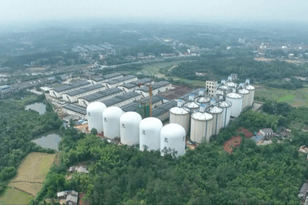 China Builds Giant Grain Silos That Can Feed 23 Million People a Day! China takes another step forward in developing next-generation granary video poster