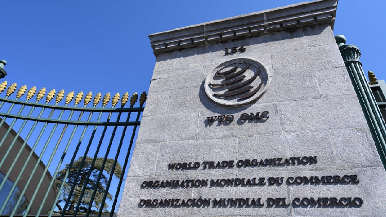 China's firm commitment to multilateral trade amid turbulence