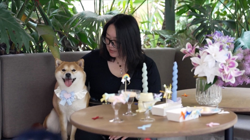 China's new pet scene: Restaurants for dogs, day care for pets video poster