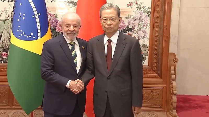 China's top legislator meets Brazilian president