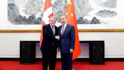 China and Denmark Team Up for a Greener Future! 🌿 Chinese, Danish FMs vow to enhance ties, cooperation in Beijing talks