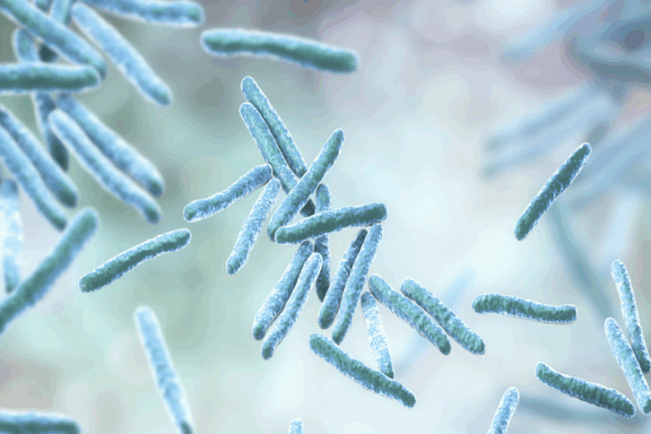 Chinese Scientists Create Bacteria That Eats Pollution! ๐ฑ Chinese scientists develop engineered bacteria to degrade pollutants