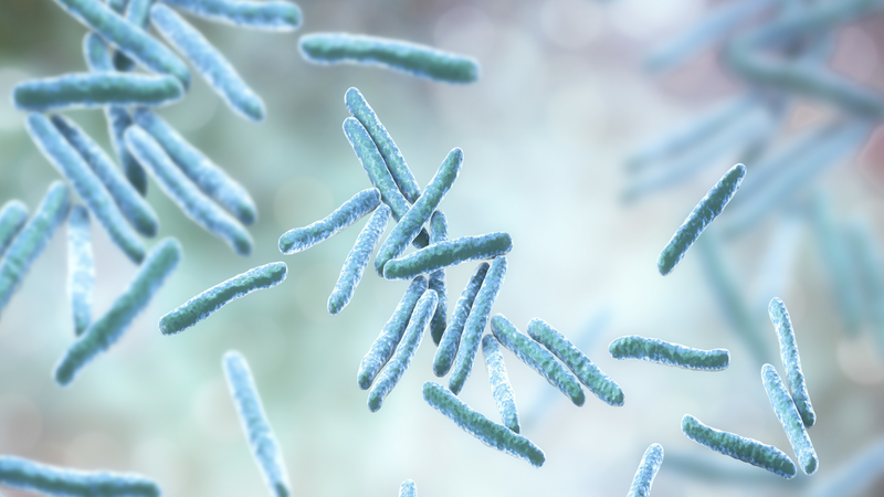 Chinese scientists develop engineered bacteria to degrade pollutants