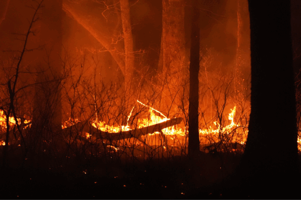 Wildfire Smoke from Climate Change Caused Thousands of Deaths, Study Says Climate-driven wildfire smoke killed thousands in U.S. over 15 years