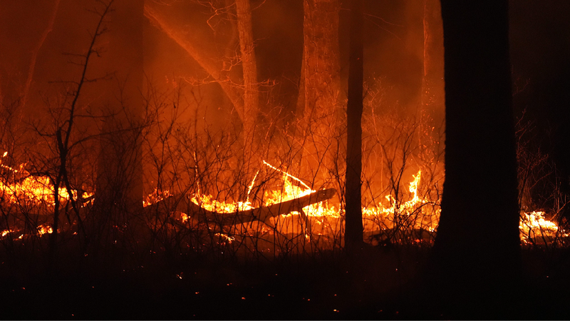 Climate-driven_wildfire_smoke_killed_thousands_in_US_over_15_years - My Global News: Young Voices Climate-driven wildfire smoke killed thousands in U.S. over 15 years