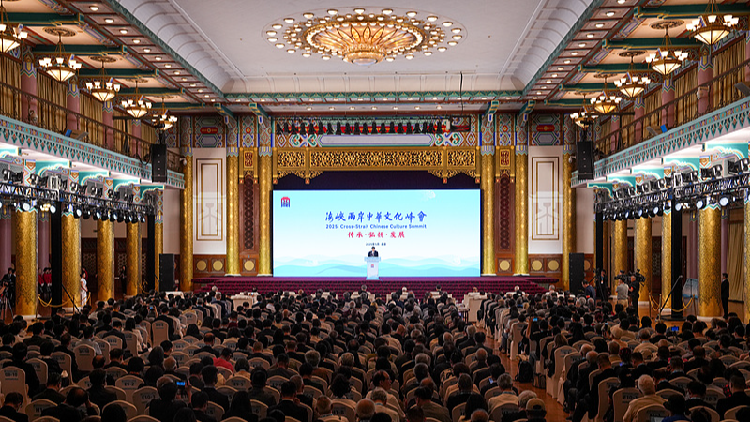 Cross-Strait Chinese culture summit stresses shared heritage