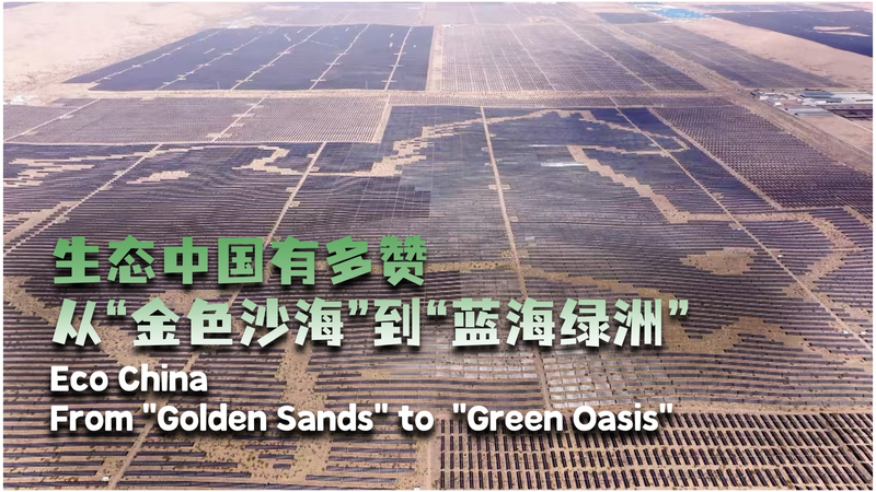 From Desert to Green Oasis: The Solar Horse of Inner Mongolia ππ Eco China: From 'golden sands' to 'green oasis' video poster