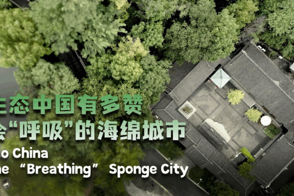 Bishan’s Sponge City: How ‘Breathing’ Bricks Help Fight Floods Eco China: The 'breathing' sponge city video poster