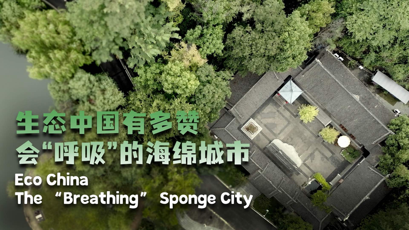 Eco_China_The_breathing_sponge_city_poster - My Global News: Young Voices Eco China: The 'breathing' sponge city video poster