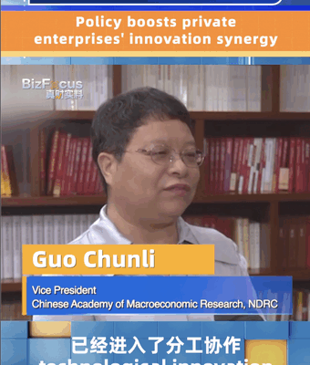 China Encourages Companies to Team Up and Innovate! π Economist: Policy boosts private enterprises' innovation synergy video poster