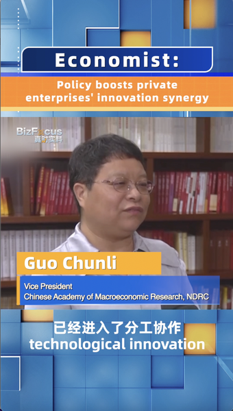Economist: Policy boosts private enterprises' innovation synergy video poster