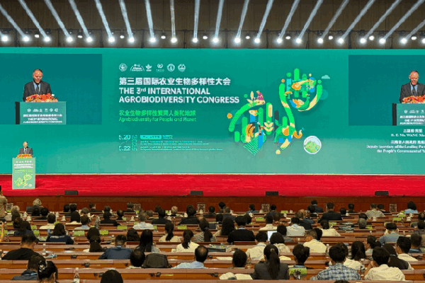 Global Experts Gather in China to Protect Farm Biodiversity πΏ Global experts convene in SW China to advance agrobiodiversity