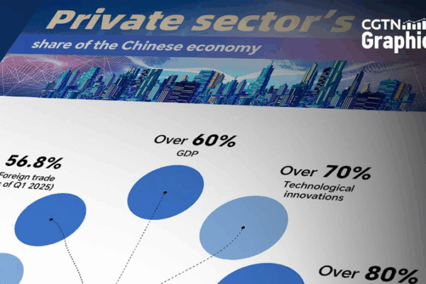 China’s First Private Sector Law: A Boost for Businesses! π Graphics: China's first law on private economy to come into effect