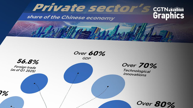 Graphics: China's first law on private economy to come into effect