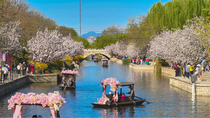 China’s Green Journey: How Nature is Winning 🌿 Green is gold: China's efforts to build a clean, green country