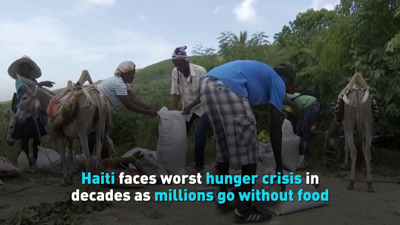 Haiti’s Hunger Crisis: Why Millions Are Going Hungry 😞 Haiti faces worst hunger crisis in decades as millions go without food video poster