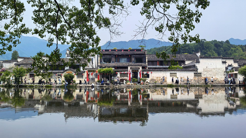 Discover Hongcun Village: The Ancient ‘Ox’ Town Bringing History to Life Hongcun Village: a timeless heritage driving rural revitalization