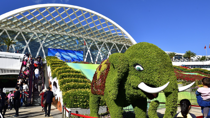 How_China_contributes_to_building_a_clean_and_beautiful_world - My Global News: Young Voices How China contributes to building a clean and beautiful world