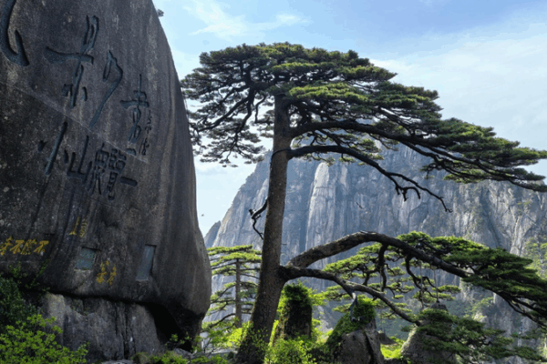 Explore the Enchanting Wonders of Huangshan Mountain! 🌄 Huangshan's scenic wonders fuel tourism growth
