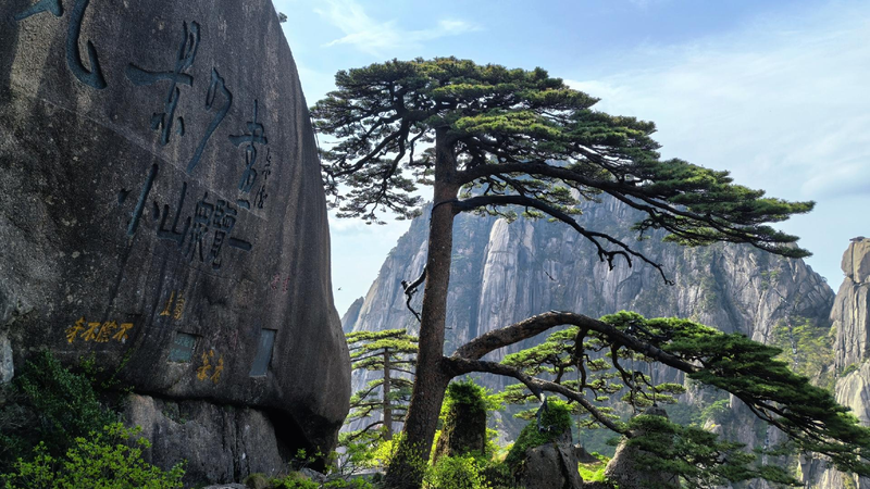 Huangshan's scenic wonders fuel tourism growth