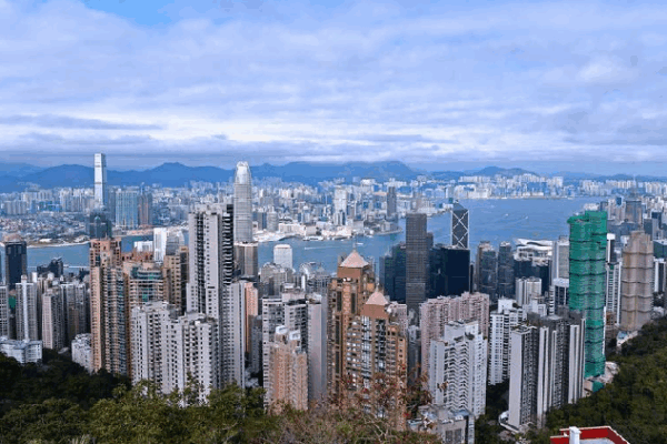 IOMed: A timely innovation in global governance