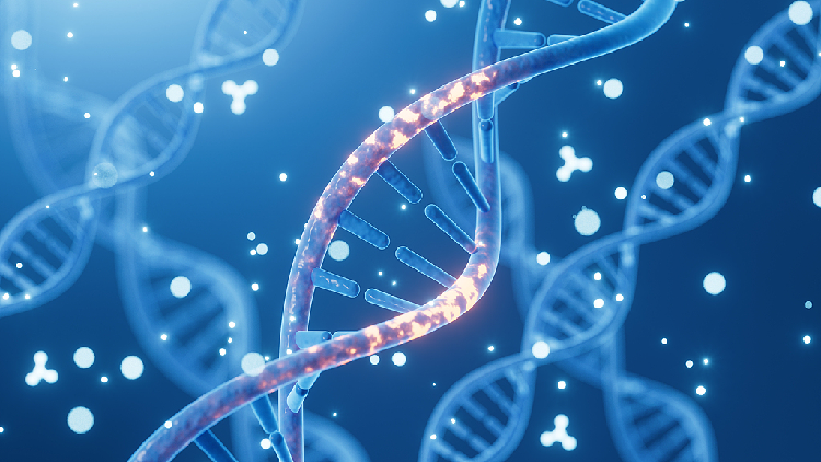 Iron-related gene variant tied to higher dementia risk in men: study