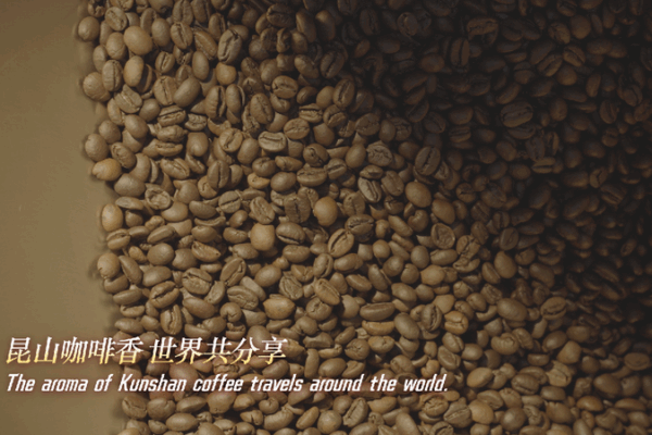 Kunshan’s Coffee Revolution: From Beans to Cups with High-Tech Magic! ☕✨ Kunshan coffee brings fresh flavor to industry