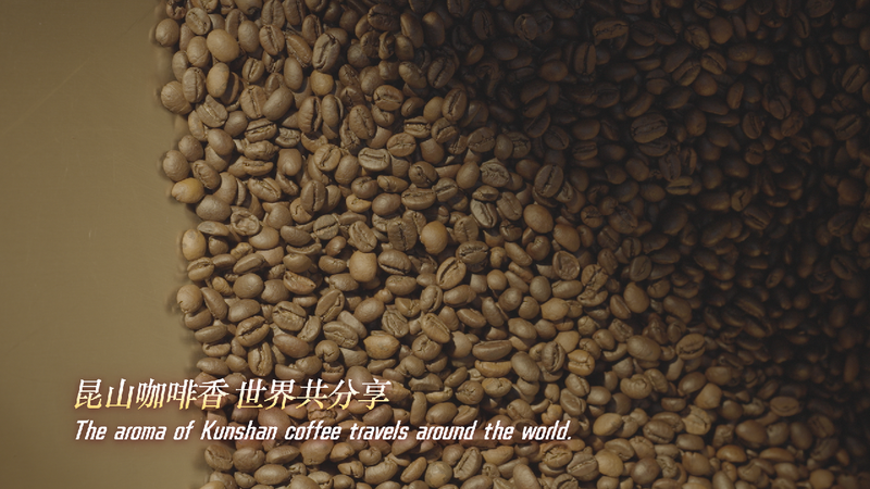 Kunshan coffee brings fresh flavor to industry