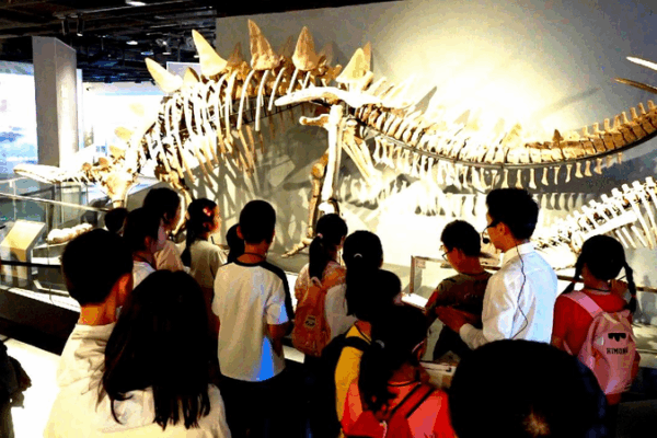 Hands-On Adventure: Kids Explore Ancient Crafts at Sichuan University Museum! Live: The transformation of Chinese museums