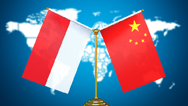 China and Indonesia Boost Friendship with Big New Ideas! ๐ค Premier Li: China ready to join Indonesia to address risks, challenges