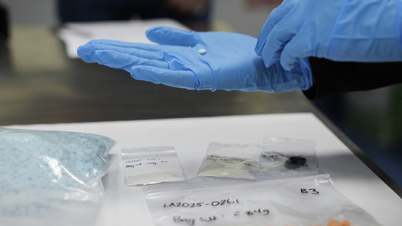 Let’s Talk About Drug Abuse: Learning from the U.S. Experience ๐ Questionnaire on the drug epidemic in the United States