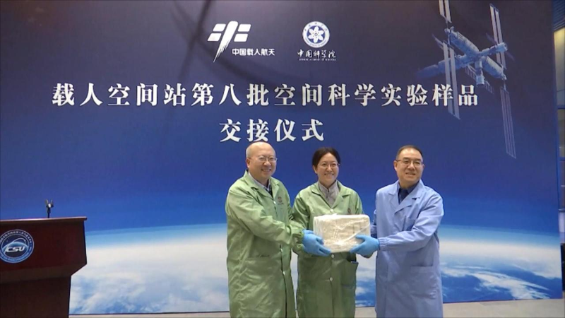 Samples from Shenzhou-19 space experiments handed over to scientists