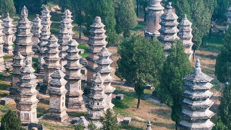 Explore China’s Ancient Shaolin Pagoda Forest 🏯 Shaolin Pagoda Forest: Final resting place of eminent monks