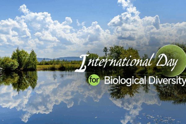 How Tech is Helping Save Our Planet: Amazing Stories of Nature and Innovation ππΏ Technological solutions for global biodiversity conservation