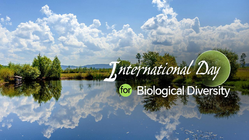 Technological solutions for global biodiversity conservation