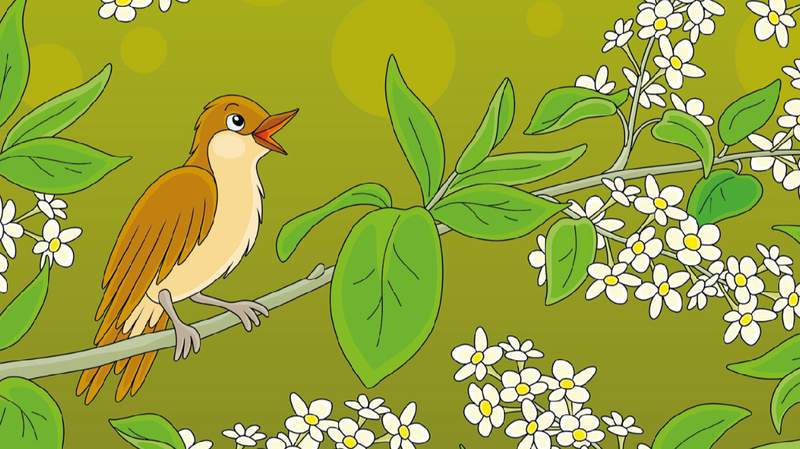 Discover ‘The Nightingale’: A Chinese Fairy Tale by Hans Christian Andersen 'The Nightingale:' A Danish fairy tale in a Chinese setting