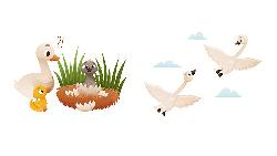 How ‘The Ugly Duckling’ Brings China and Denmark Together ππ¦ 'The Ugly Duckling,' a story shared between China and Denmark