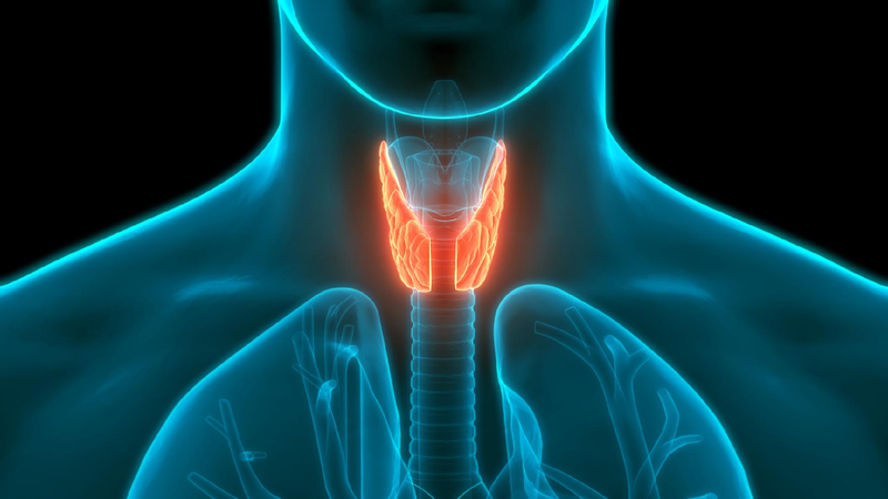 Young People in China Share Thyroid Health Stories Online 🦋 Thyroid health awareness surges in China amid rising diagnoses