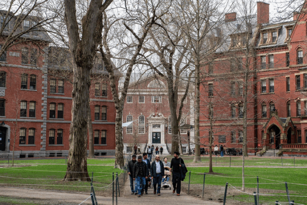 Harvard’s International Students Face New Rules After Government Decision Trump move halts new international enrollments at Harvard