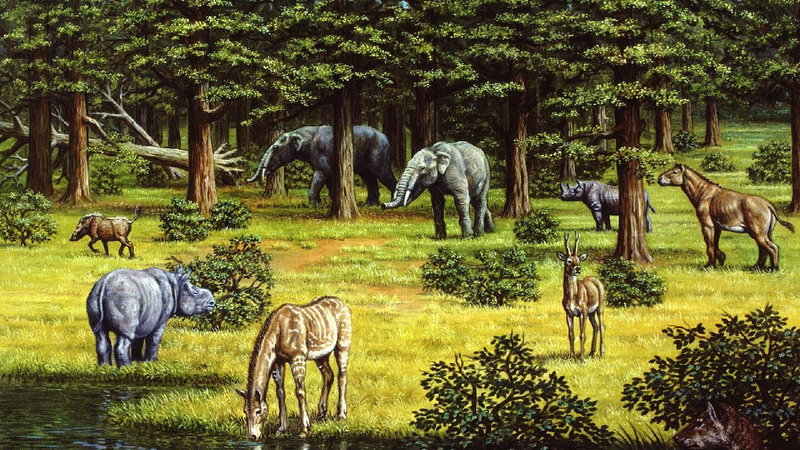 How Ancient Plants Helped Cool the Earth 🌱🌍 Vegetation changes accelerated climate shifts during late Miocene
