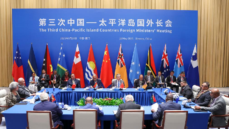 China and Pacific Islands Team Up with Five Promises! ππ€ Wang Yi introduces consensus reached at 3rd China-PICs FMs' meeting